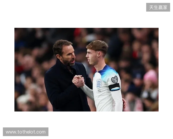 BLAST鹿特丹公开赛2026：延续胜势！NAVI 2-1 B8